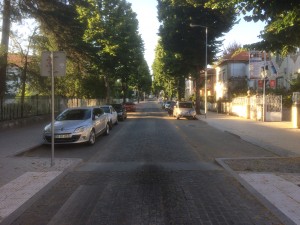 Av. D.Dinis 2016-18  (8)