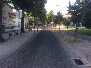 Av. D.Dinis 2016-18  (5)