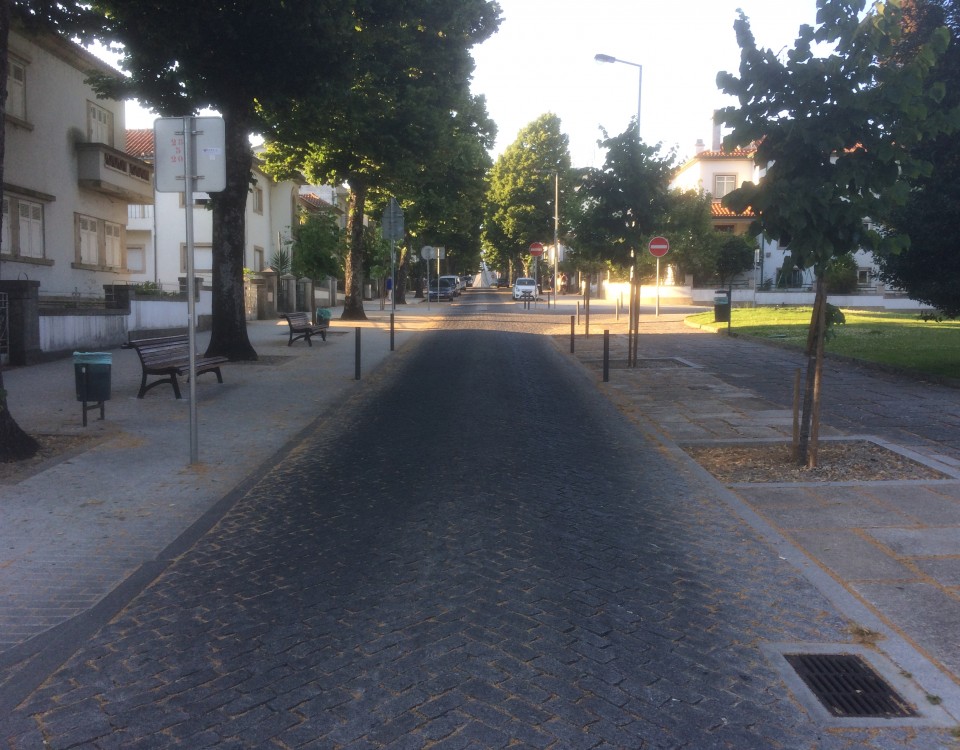 Av. D.Dinis 2016-18  (5)